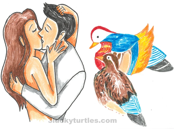 Image for post An illustration of a couple kissing passionately with a pair of mandarin ducks looking on.