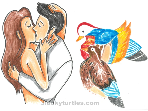 An illustration of a couple kissing passionately with a pair of mandarin ducks looking on. Image for post An illustration of a couple kissing passionately with a pair of mandarin ducks looking on.