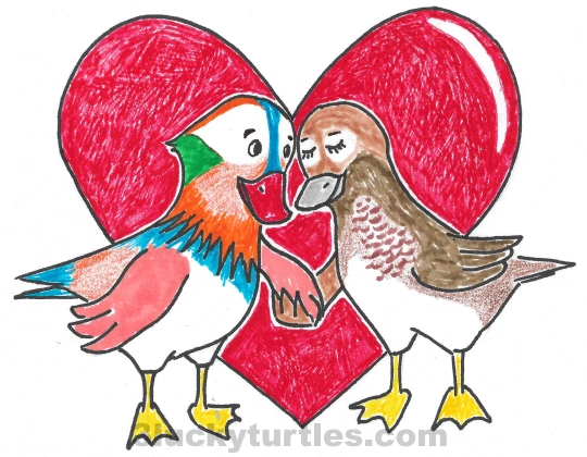 Image for post How to Love Like Mandarin Ducks