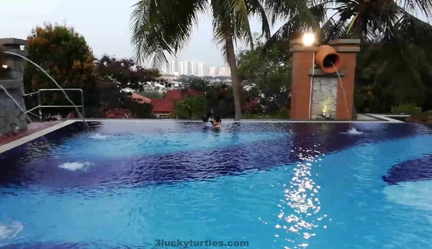A swimming pool. Image for post A swimming pool.