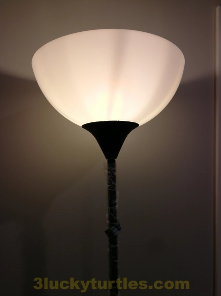 Image for post A light stand.
