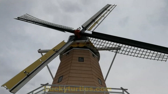 Image for post A windmill replica.